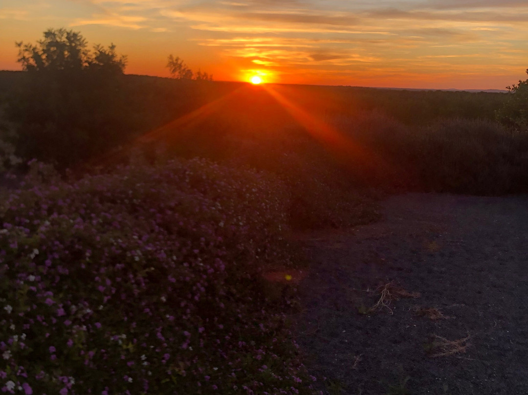 Sesmarias Turismo Rural & SPA主图