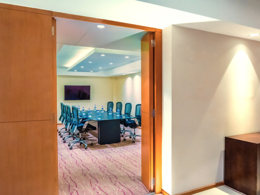 Hilton Mendoza主图