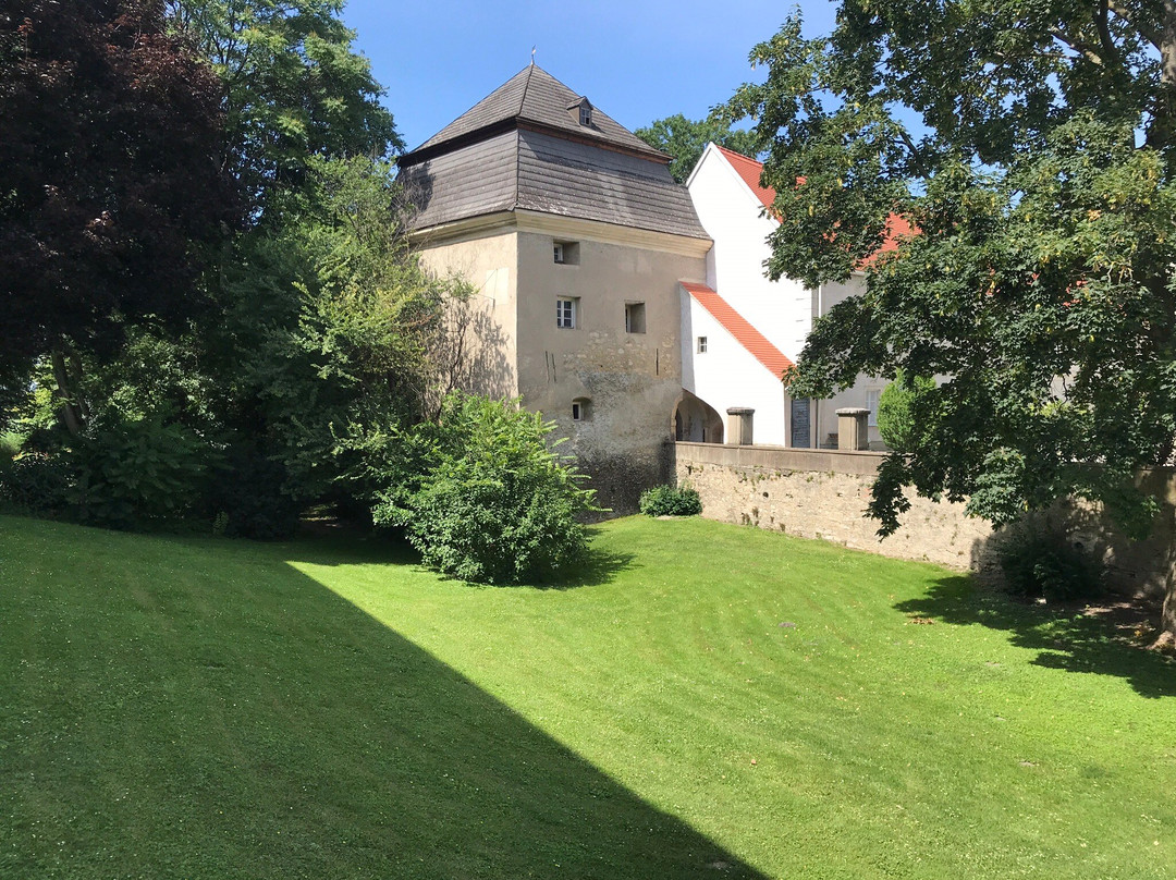 Schloss Rohrau景点图片