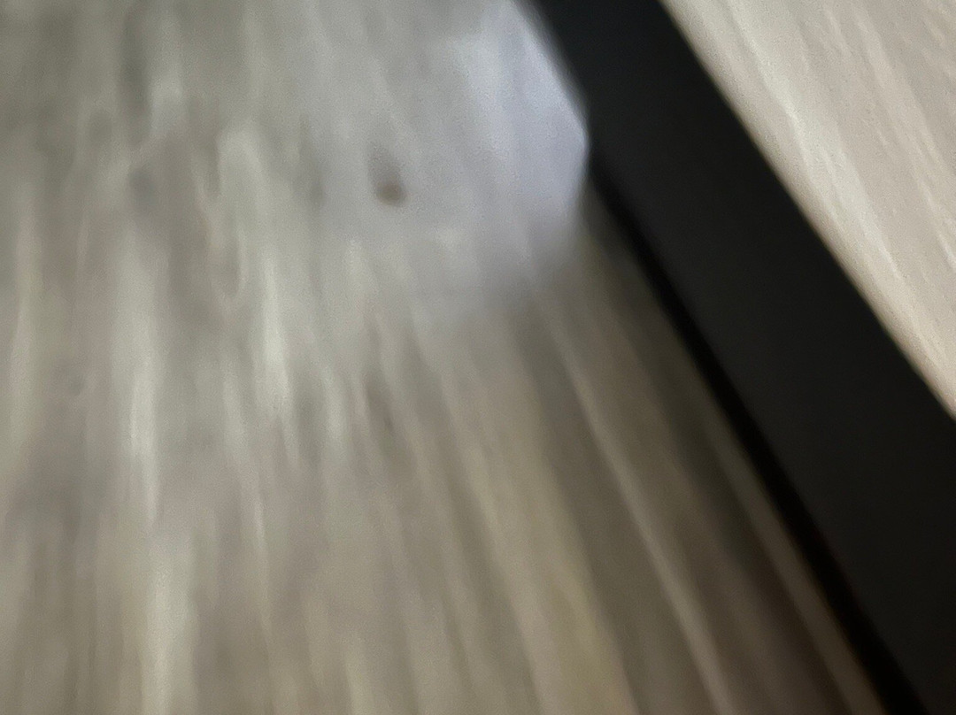 La Quinta Inn & Suites by Wyndham Decatur主图