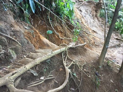 Piscina Natural da Caixa d'Aço-Trindade必去景点