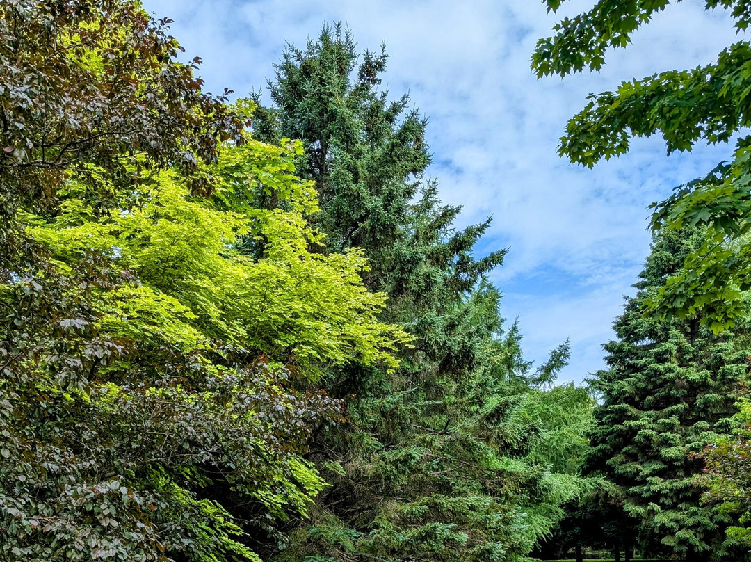 Irving Arboretum-Bouctouche必去景点