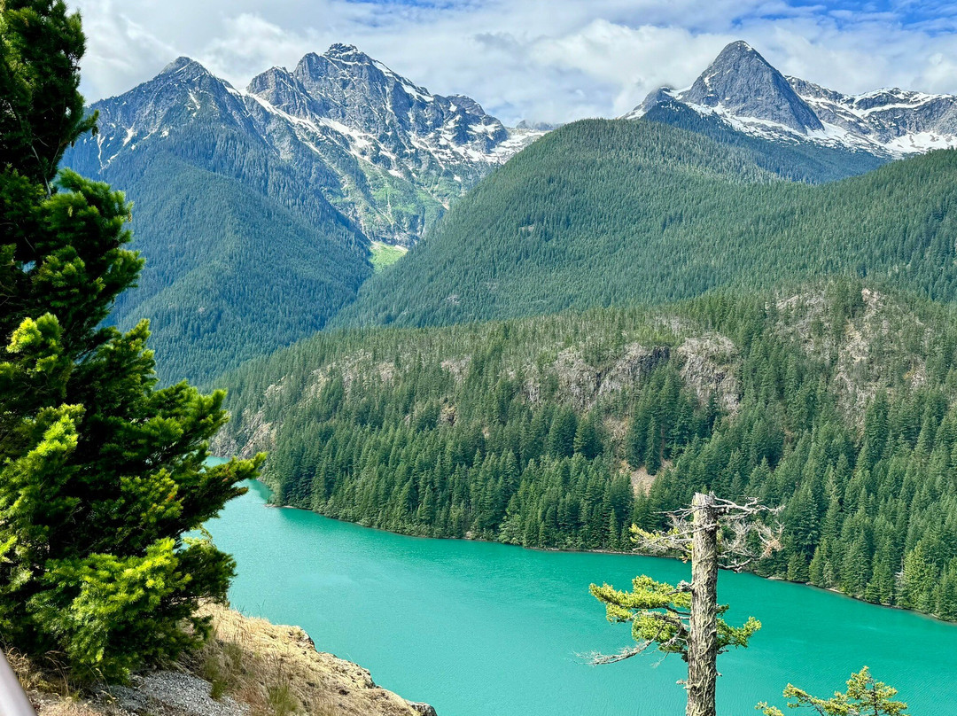 Washington Pass Overlook景点图片