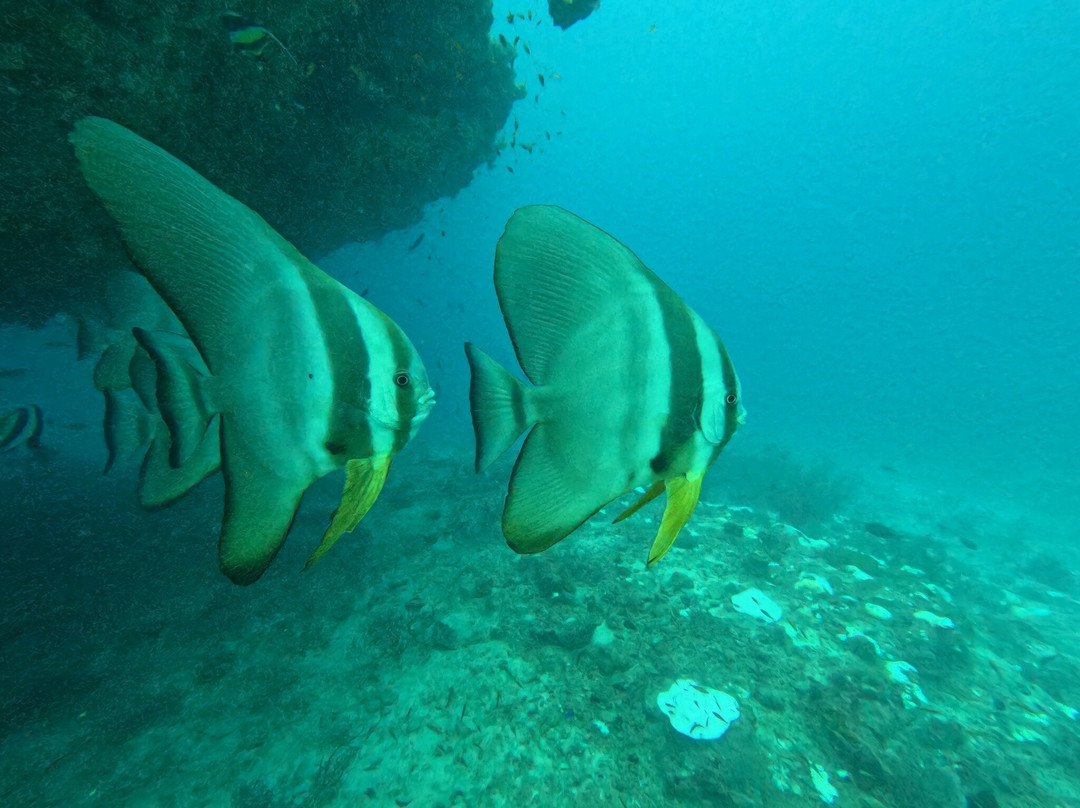 Sun Siyam Diving-伊露岛必去景点