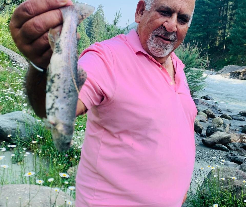 Travellers Inn主图