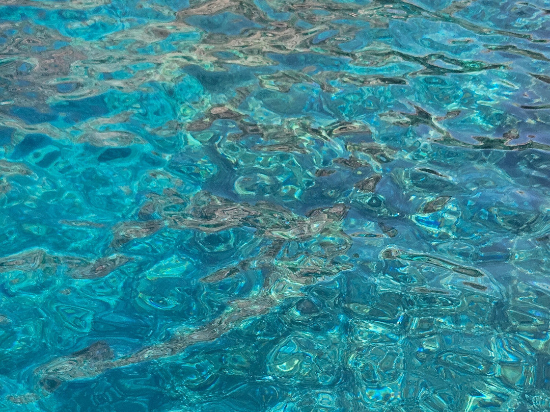 Catamarano Alghero Windsardinyasail-阿尔盖罗必去景点