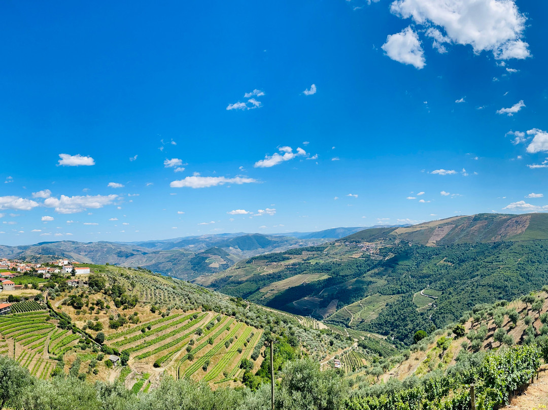 Quinta do Cume景点图片
