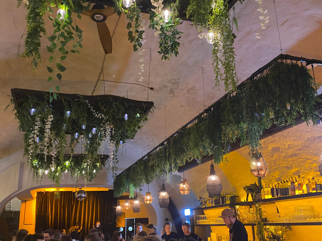 Frederics Cocktail Club