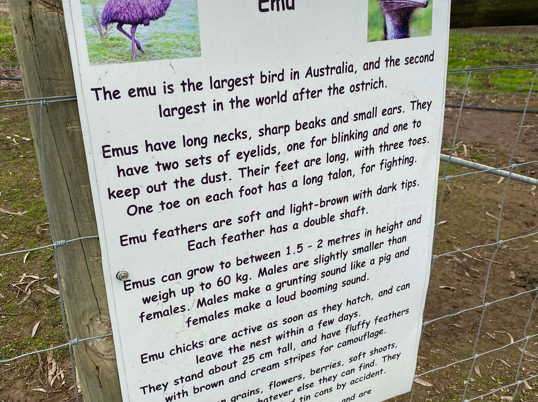 Billabong Ranch-伊丘卡必去景点