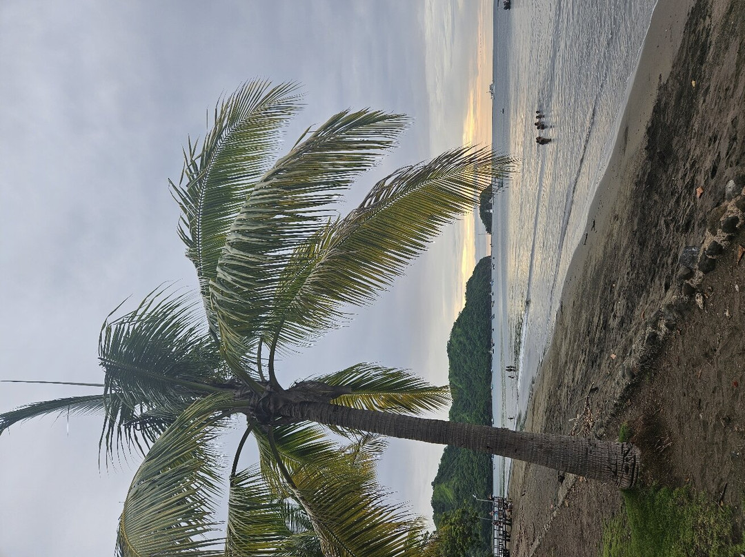 Playas del coco景点图片