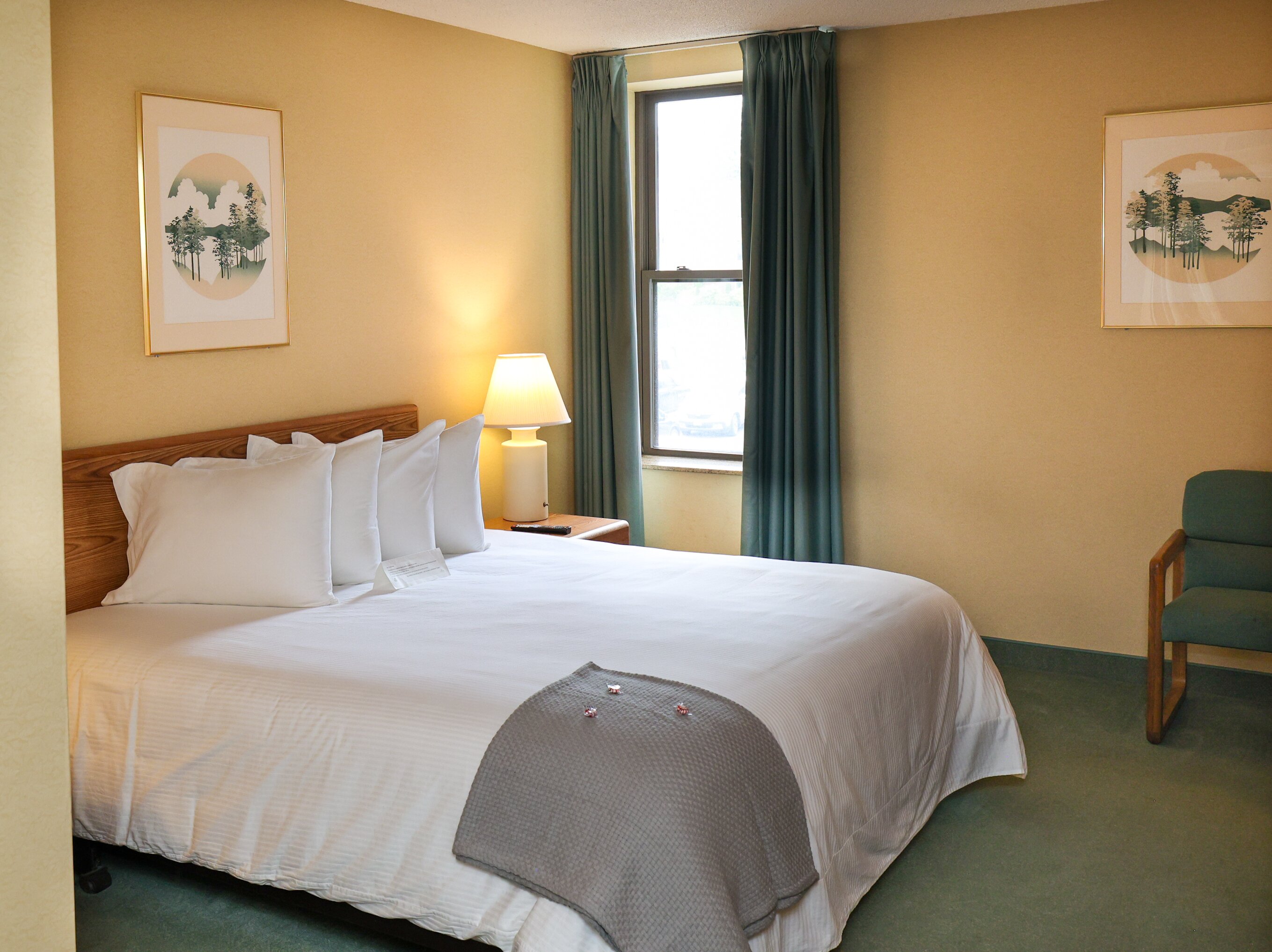 The Northeastland Hotel-客卧