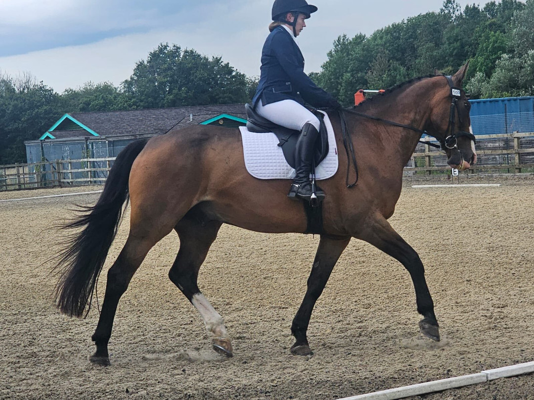 Regal Equestrian-Whichford必去景点