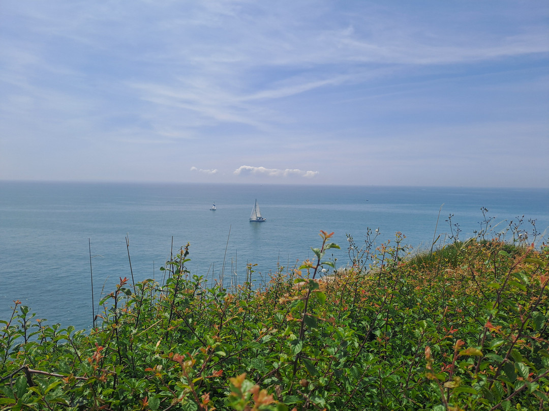 Pointe du Grand Mont-Saint-Gildas-de-Rhuys必去景点