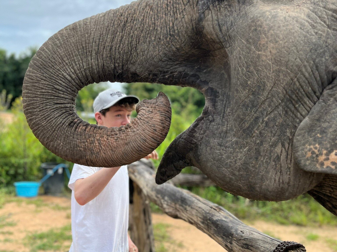 Cambodia Wildlife Sanctuary景点图片