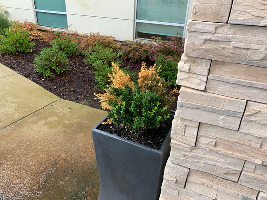 Holiday Inn Express & Suites Huntsville â Space Center by IHG主图