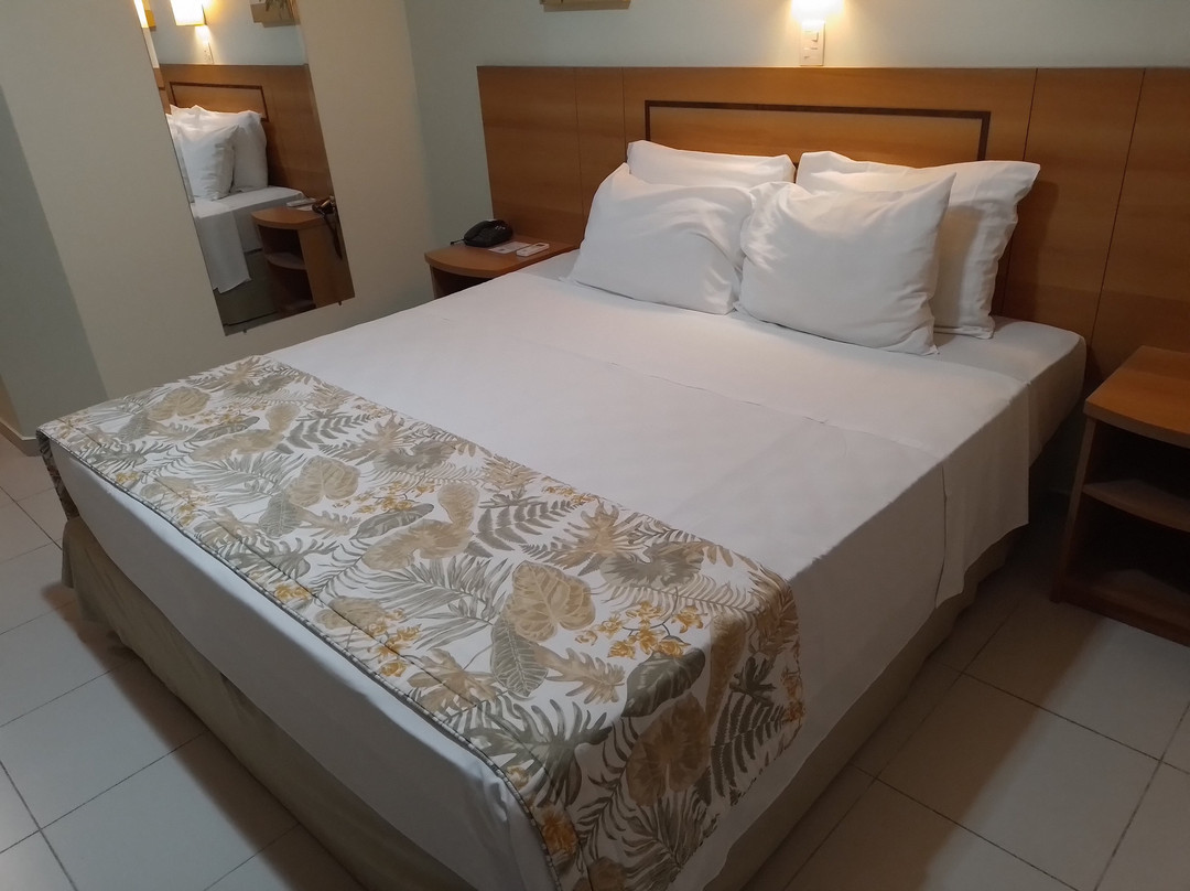 Comfort Hotel Manaus主图
