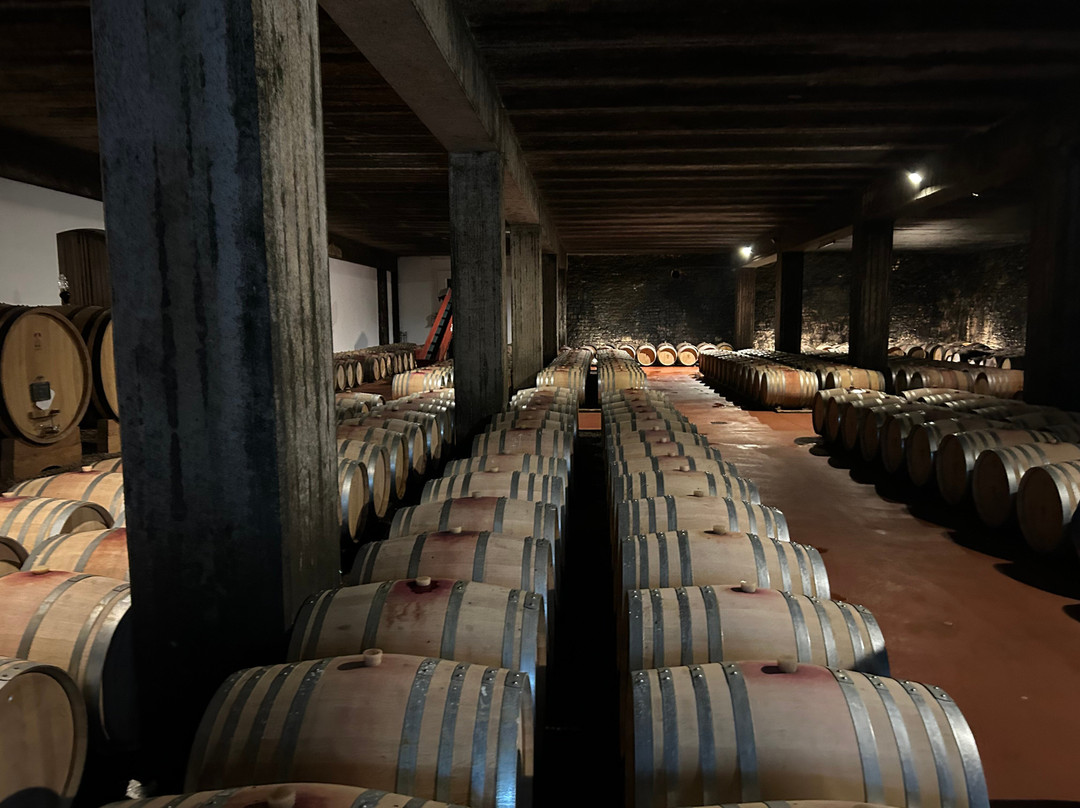 Tenute Cisa Asinari dei Marchesi di Grésy S.S.A. Azienda Agricola Martinenga景点图片
