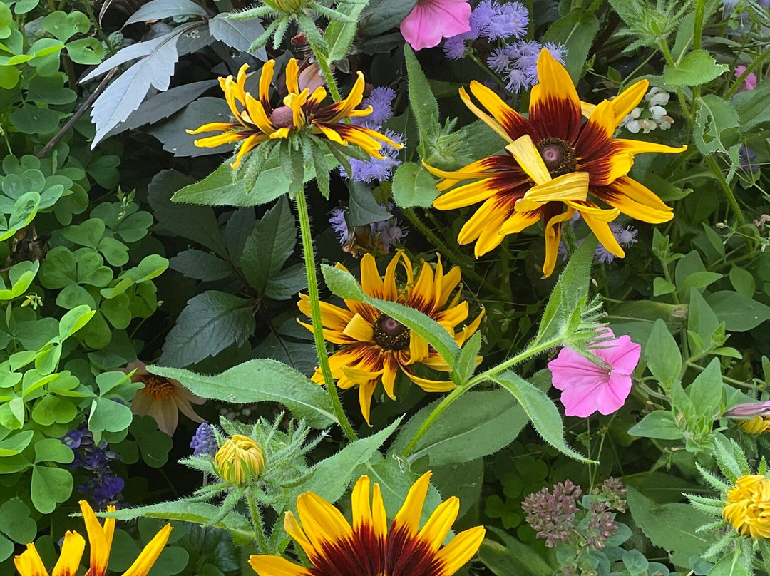 Bay Breeze Resort主图