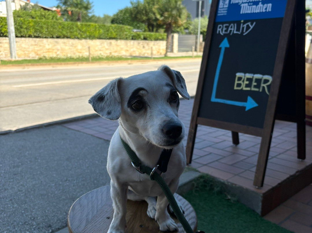Stella Craft Beer Shop-梅杜林必去景点