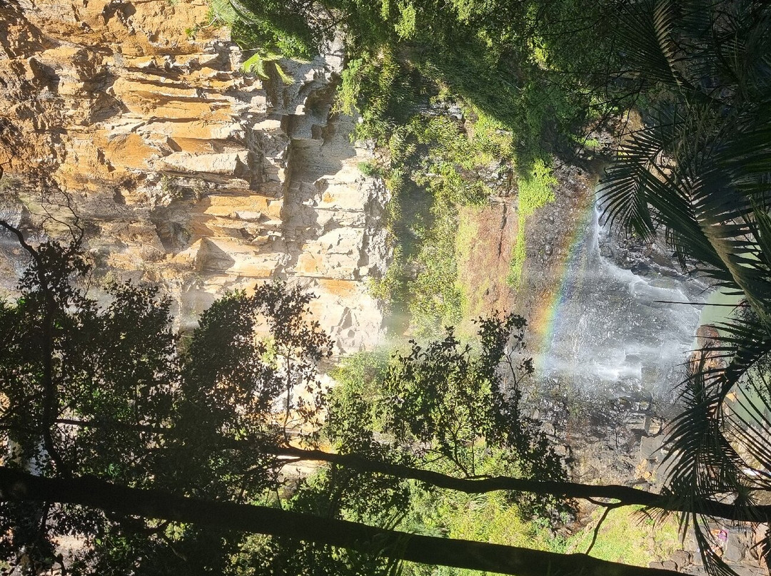 Purling Brook Falls景点图片