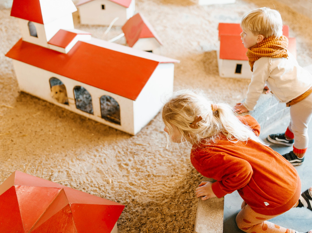 Sanjes Safari-Feanwalden必去景点