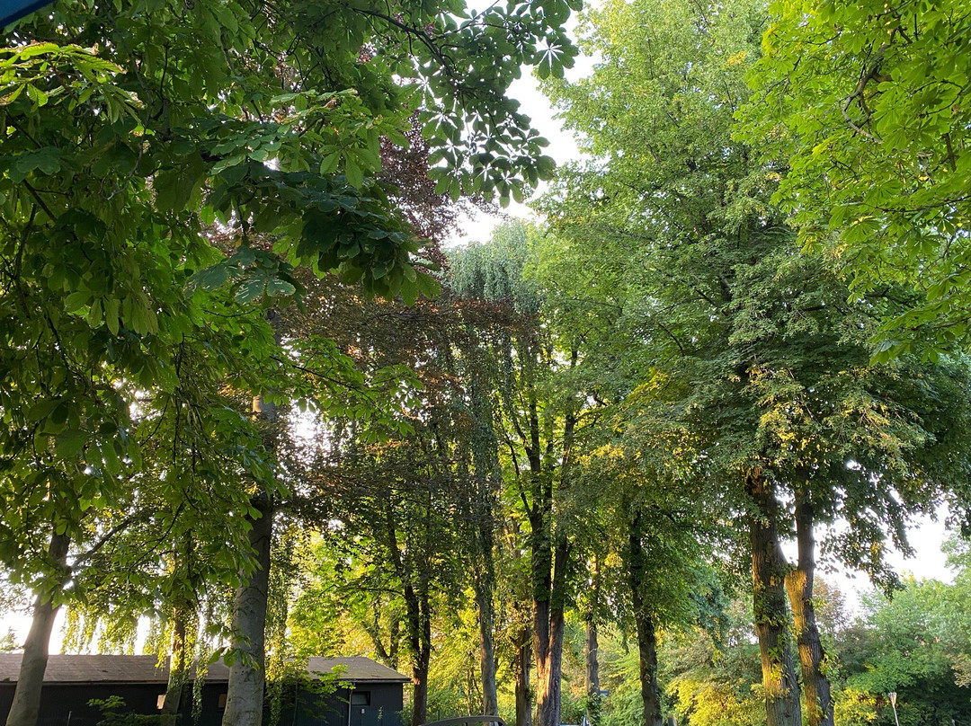 Kaerntner Stub'n Hotel主图