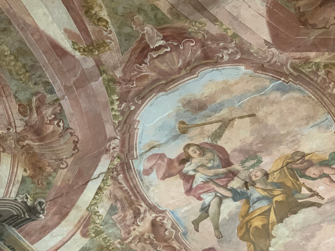 Palazzo Salis e Museo Senza Frontiere景点图片