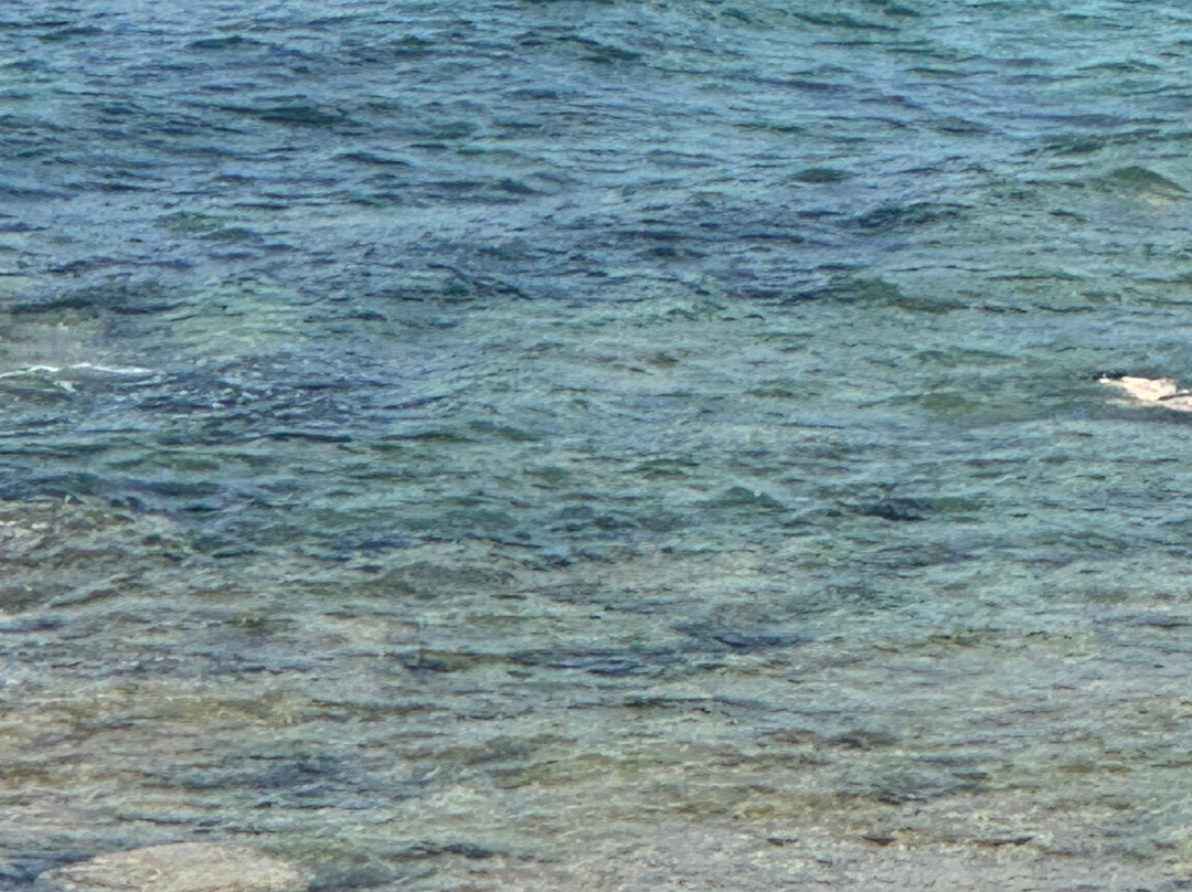 Cala Pischina-Aglientu必去景点