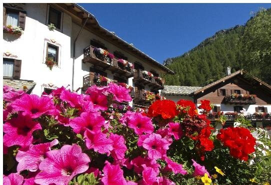 Romantic Hotel Jolanda Sport主图