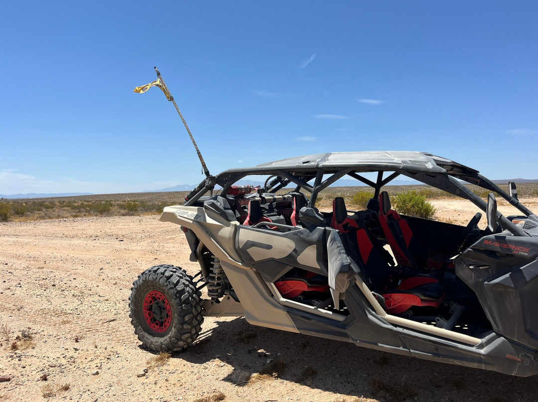 Wild Desert Tours-Helendale必去景点