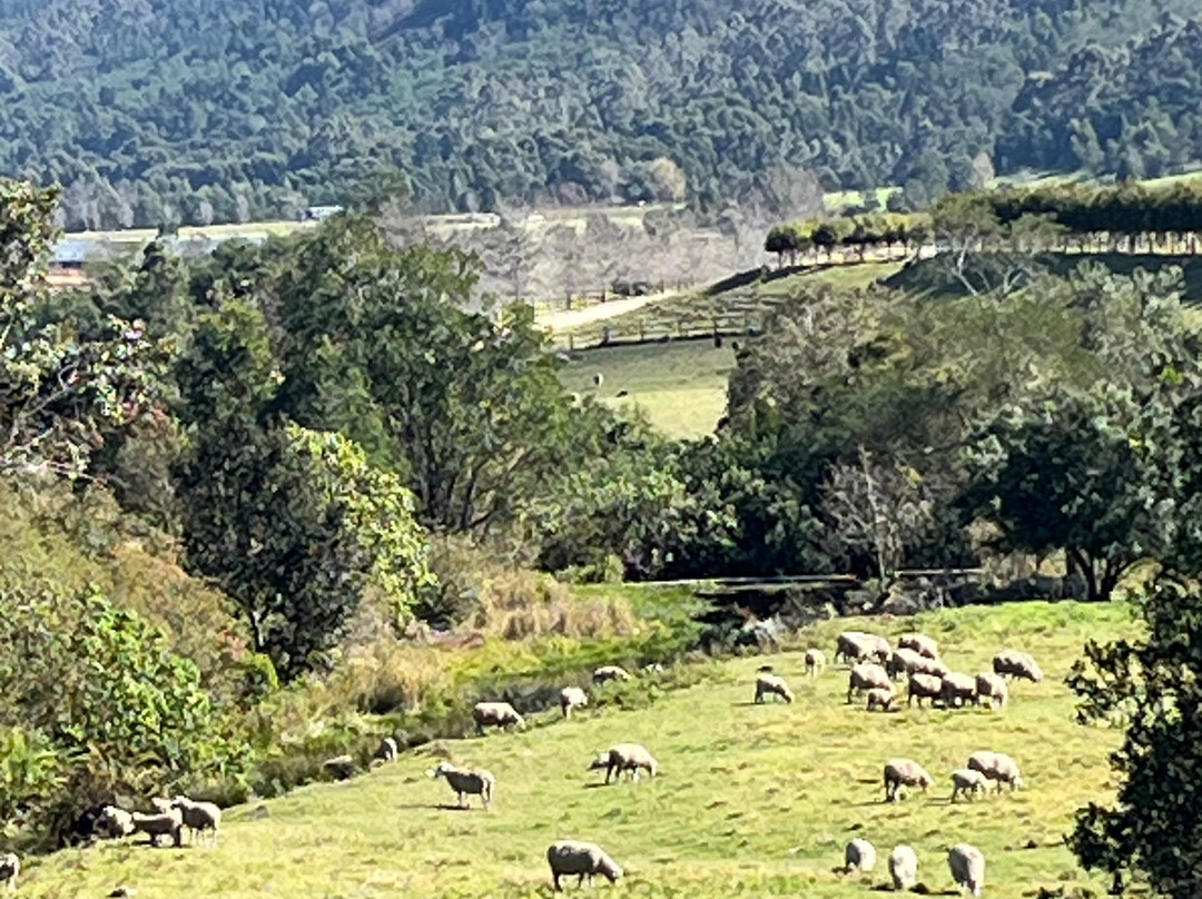 Kurland Park Horse Trails-普利登堡湾必去景点