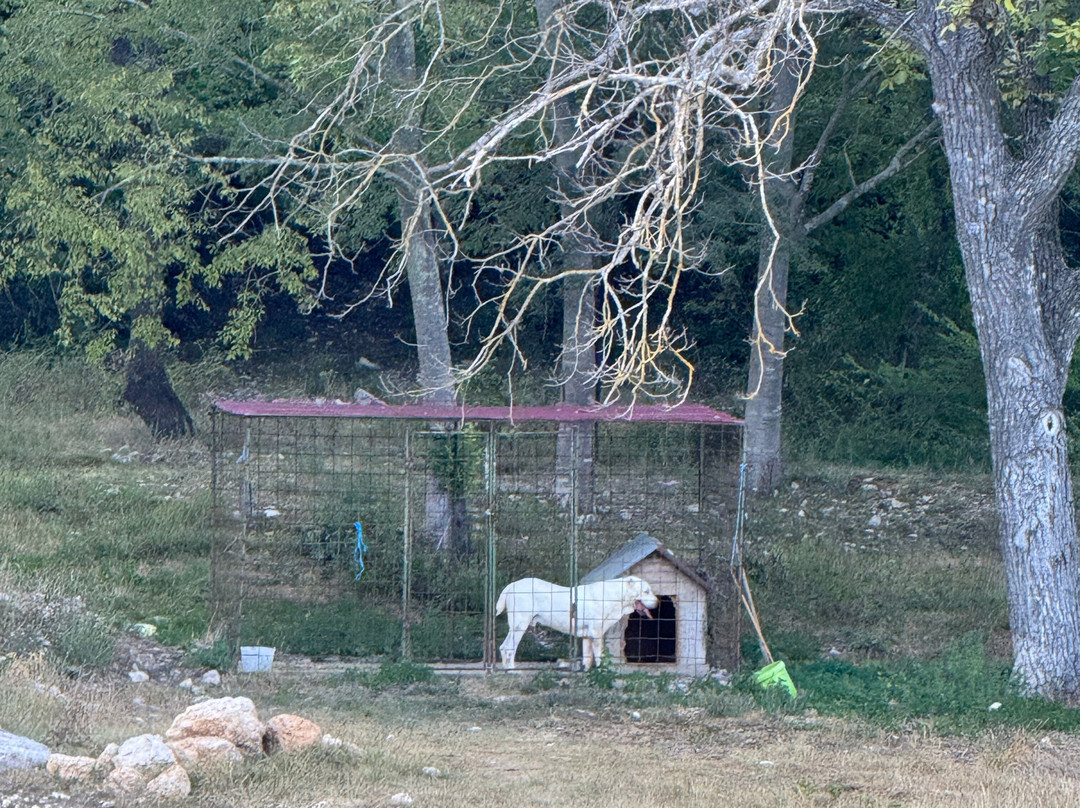 Krka Monastery景点图片