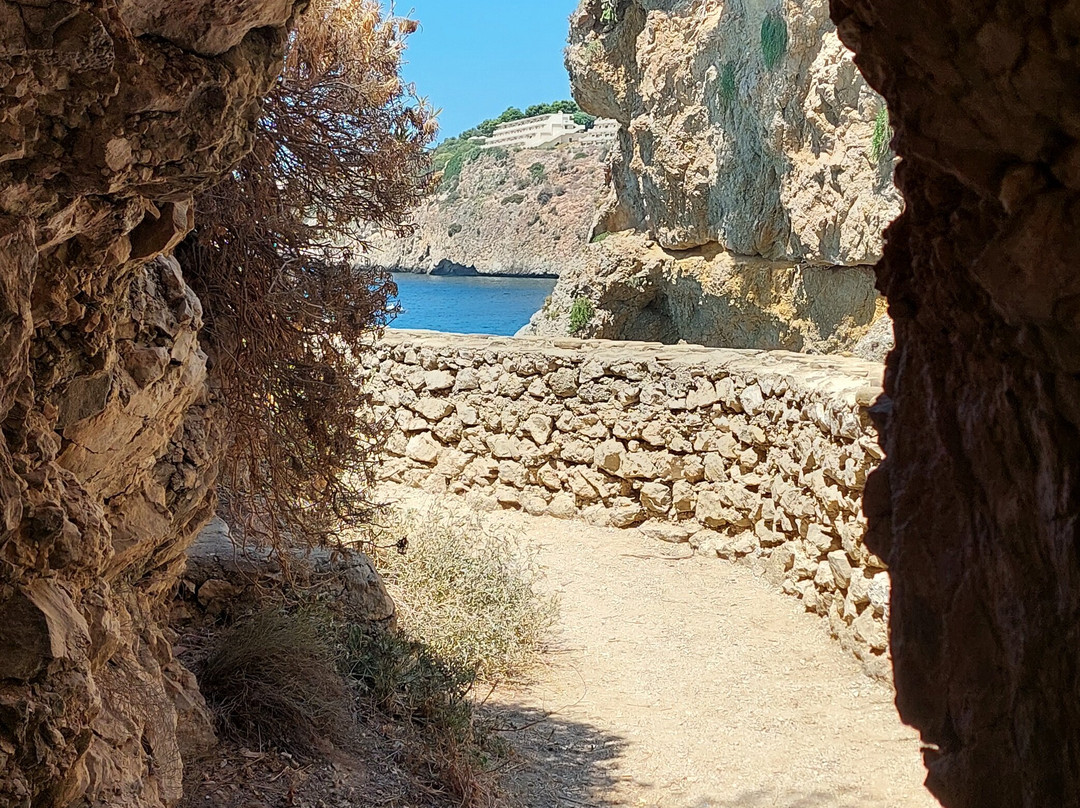 Book Excursions Sicily & Ape Tours景点图片
