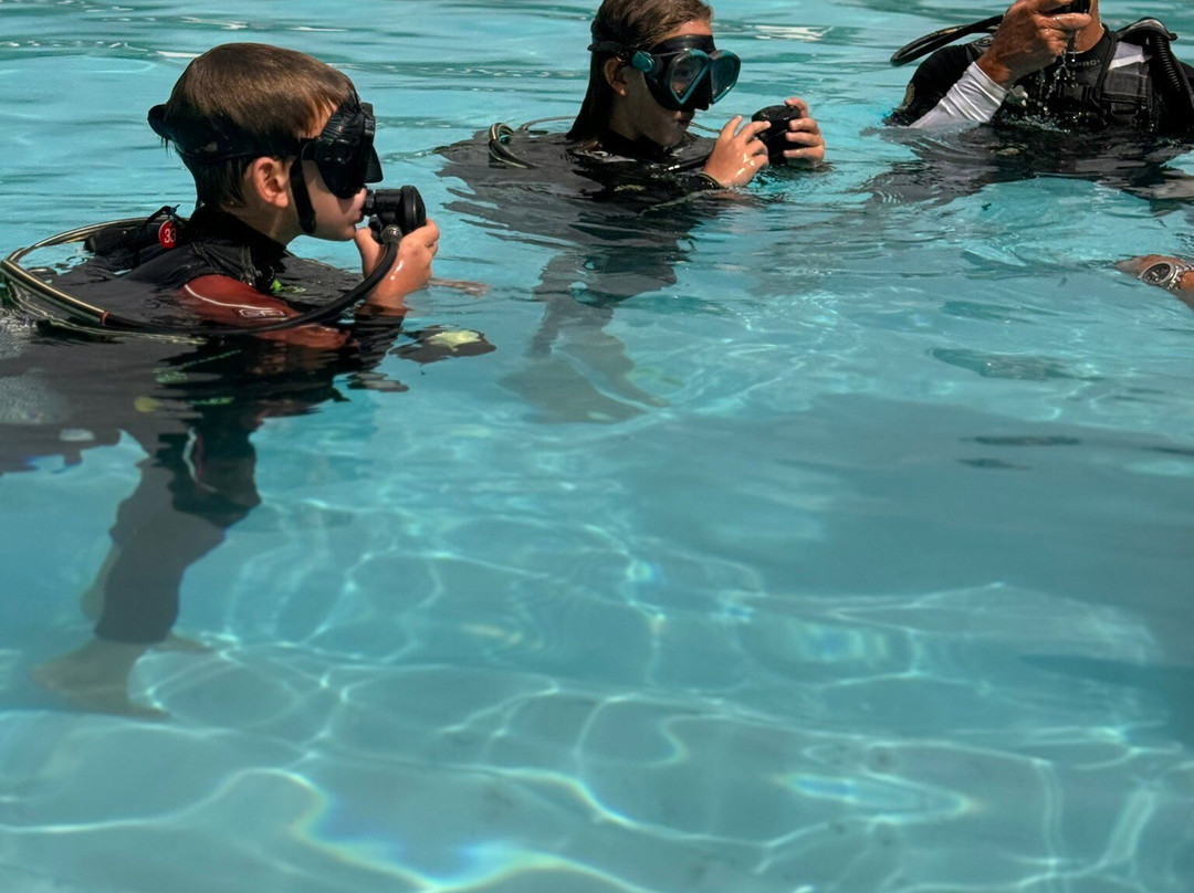 Turtle Dive- and Watersport Center-瓦塔木必去景点