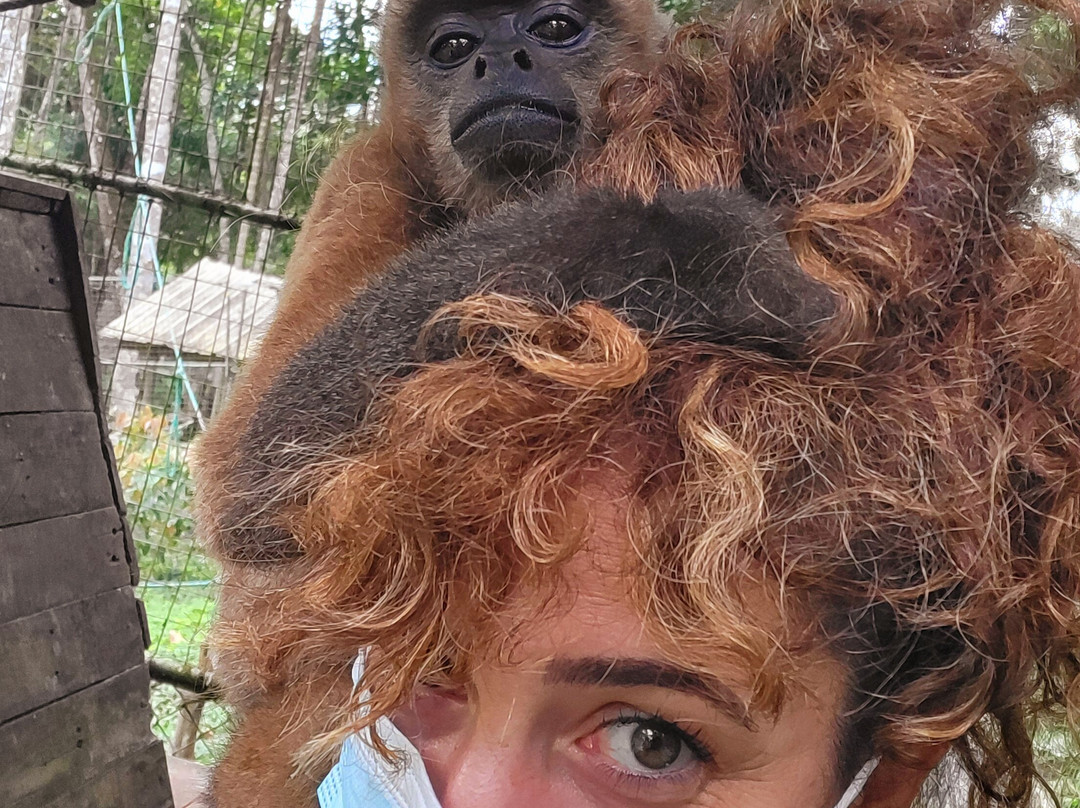 Fundacion Los Monos Selva y Vida-Puyo必去景点