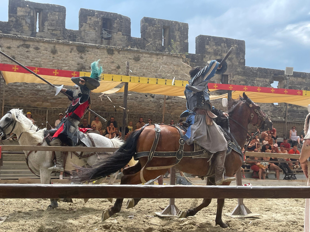 Tournoi de chevalerie景点图片