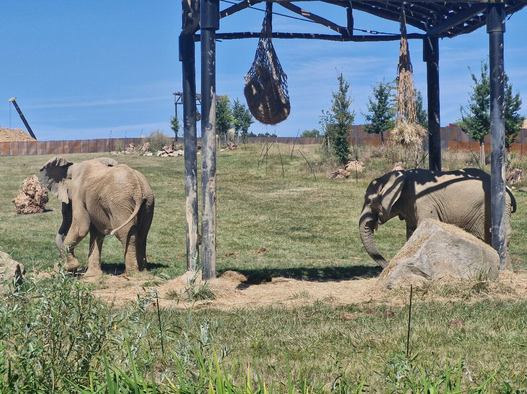 ZOO and Castle Zlin - Lesna-兹林必去景点