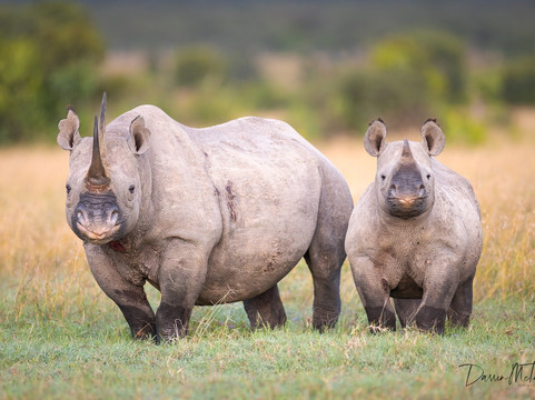 Natures Wonderland Safaris-内罗毕必去景点