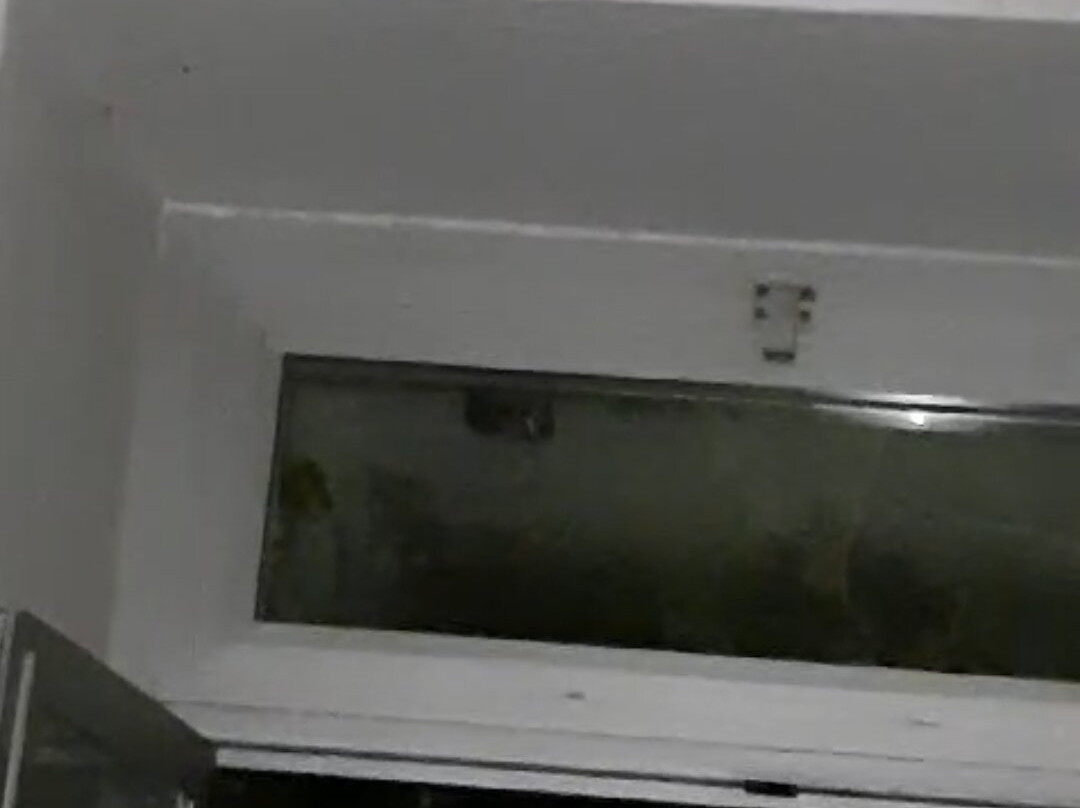 拉特拉莎迪佩蓝戈尼B&B酒店主图