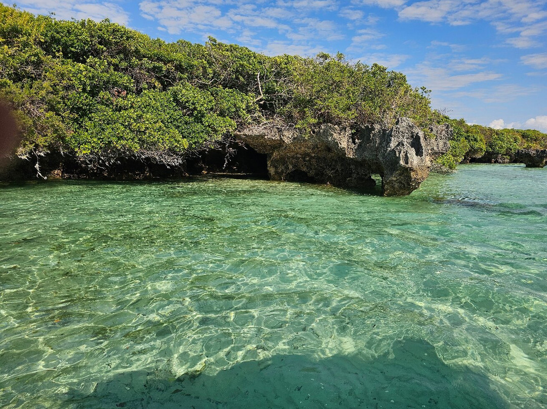 Reef Tour Mafia Island景点图片