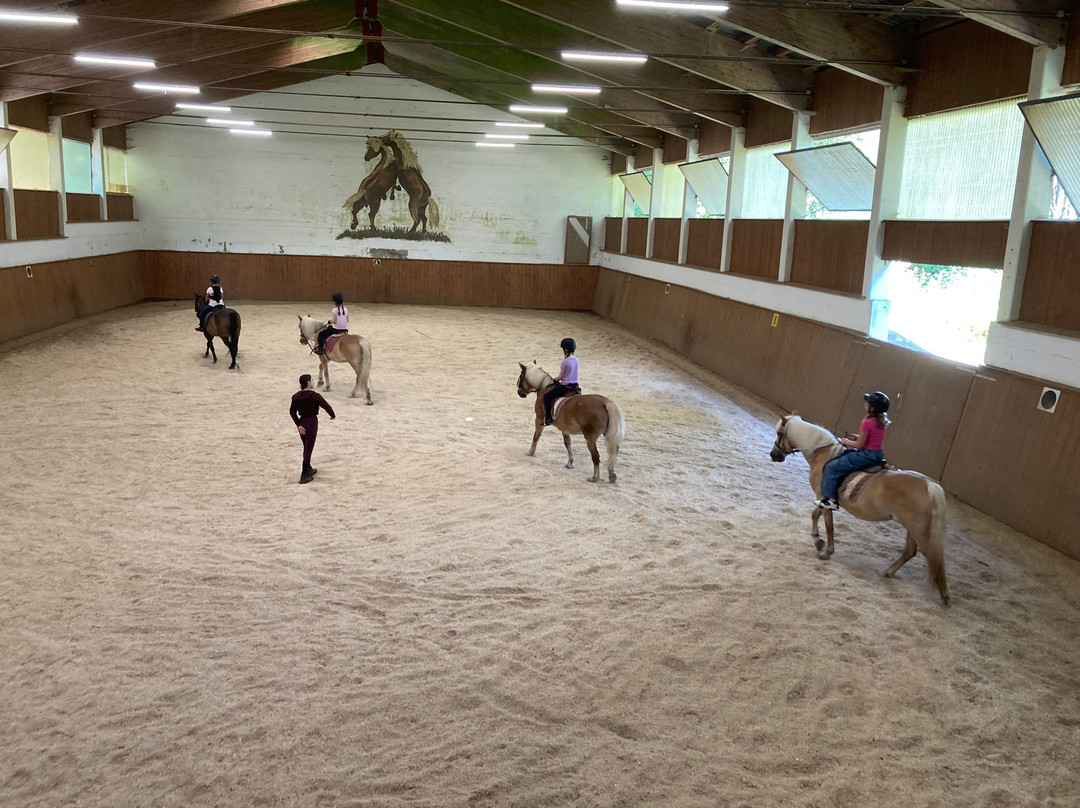 Hotel Haflingerhof主图