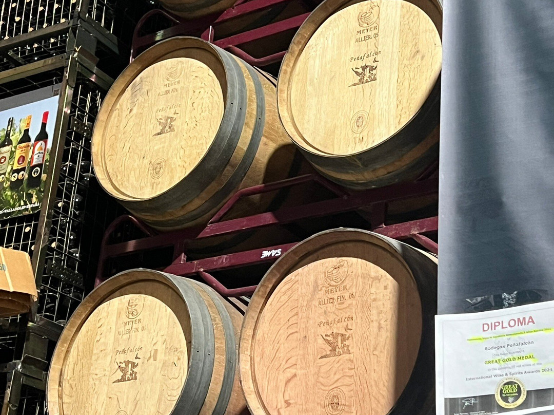 Bodegas Peñafalcon-Penafiel必去景点