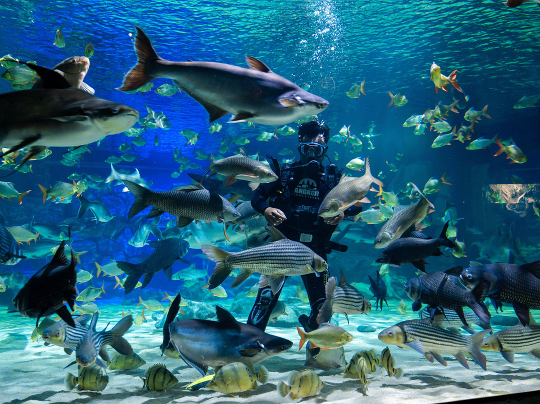 Angkor Wildlife & Aquarium景点图片