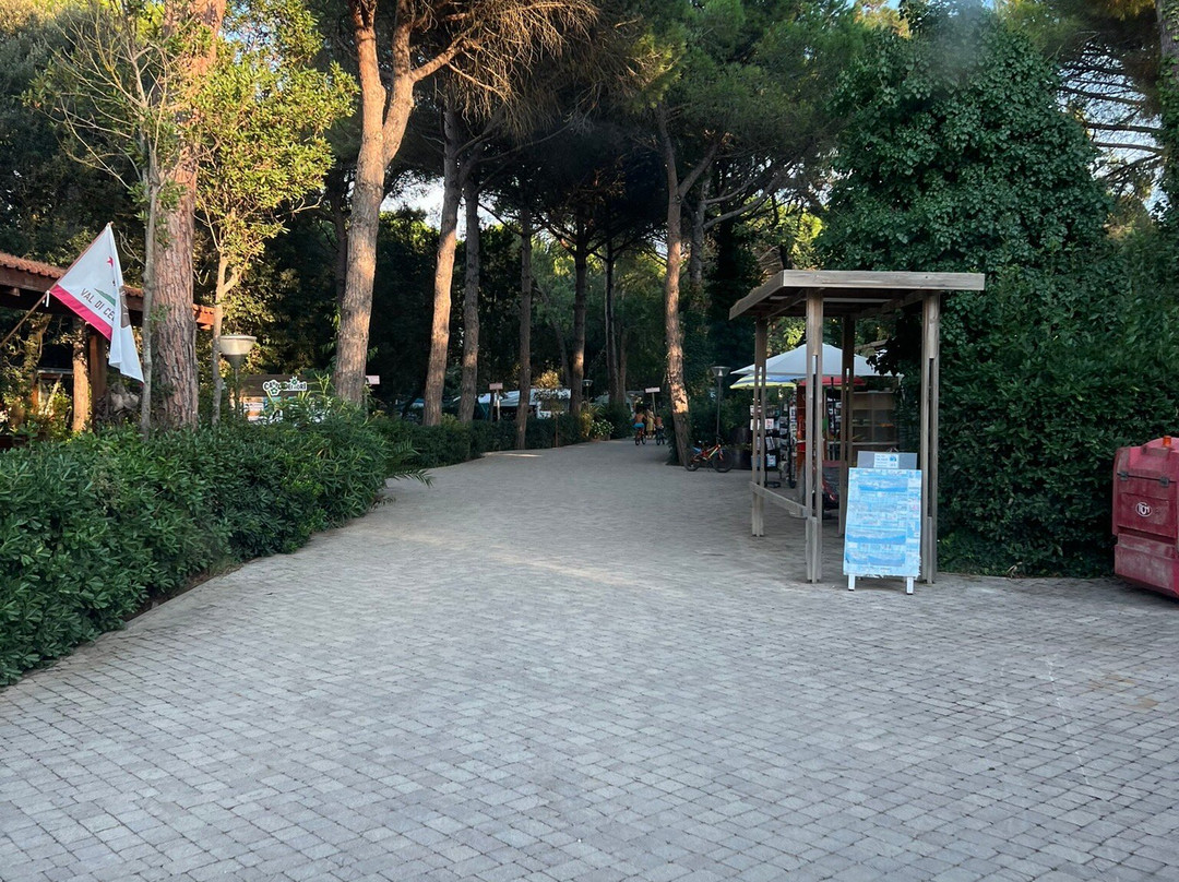 Campo dei Fiori景点图片