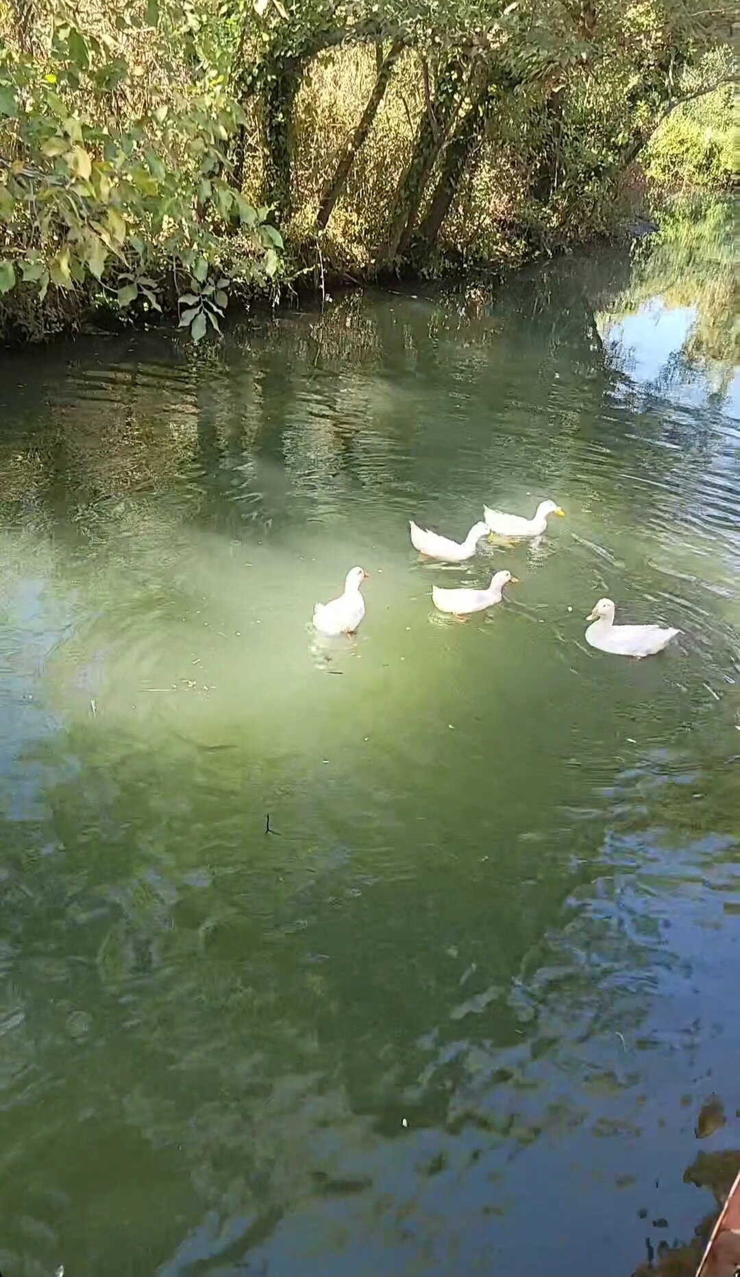 Orange Garden Hotel Akyaka-官方