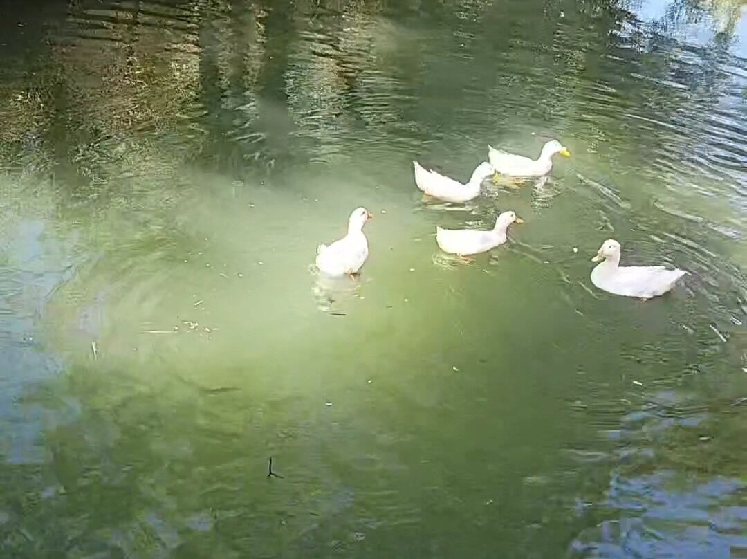 Orange Garden Hotel Akyaka主图