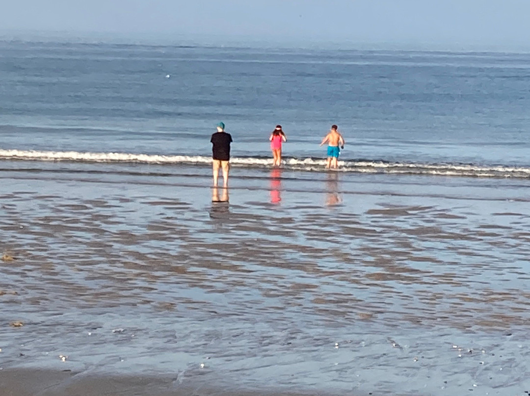 Salisbury Beach景点图片