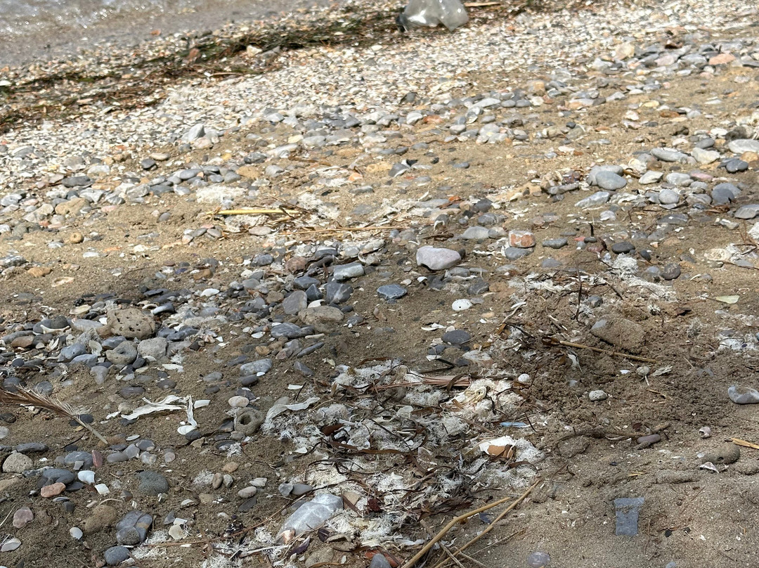Psili Ammos Beach景点图片