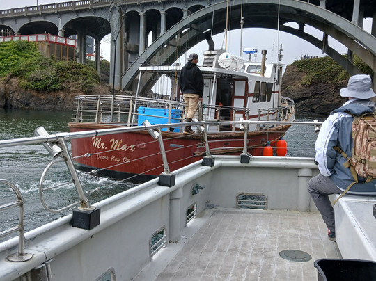 Tradewinds Charters-Depoe Bay必去景点