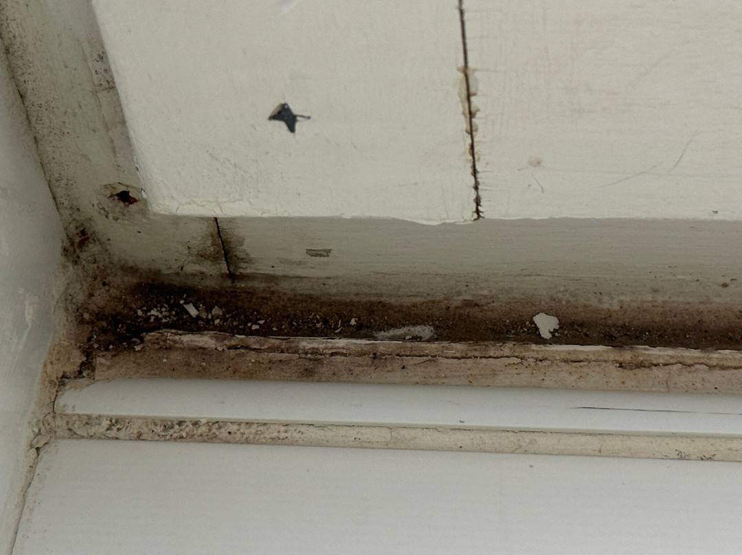 Hôtel Les Flots主图